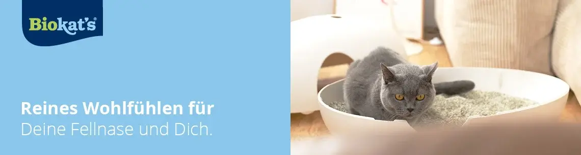 Biokat’s Topbanner Katze sitzt in einer Schale mit Katzenstreu neben dem Biokat’s‑Slogan.