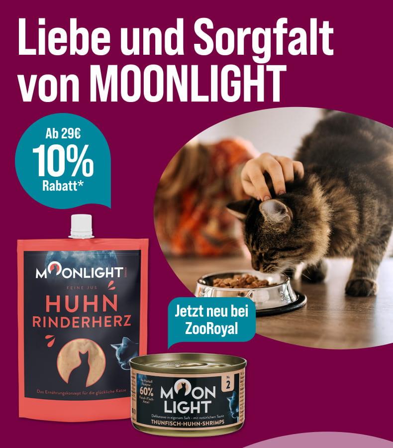 Spare 10 % ab 29 € auf MOONLIGHT Katzenfutter Aktionsbanner für MOONLIGHT Katzenfutter. Links der Titel „Spare 10 % ab 29 € auf MOONLIGHT Katzenfutter“ sowie der Hinweis „Jetzt neu bei ZooRoyal“. Mittig sind MOONLIGHT Katzenfutter-Produkte in Dose und Beutel abgebildet. Rechts frisst eine Katze aus einem Futternapf, daneben befindet sich eine Person. Ein blauer Hinweis hebt den Rabatt „Ab 29 € 10 % Rabatt“ hervor. Hinweis: Preisvorteil auf ausgewählte MOONLIGHT Katzenfutter-Produkte.