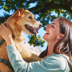 Green Petfood Futter für Hunde Aktionsbanner für Green Petfood. Mittig eine Person mit einem Hund im Freien vor einem unscharfen grünen Hintergrund.