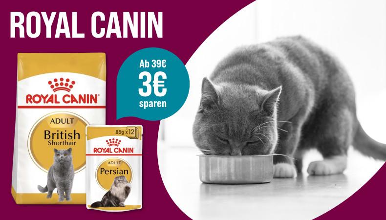 Spare 3€ ab 39€ auf Royal Canin Aktionsbanner für Katzenfutter von ROYAL CANIN. Katze frisst aus einem Napf, daneben Verpackungen von Trocken- und Nassfutter
