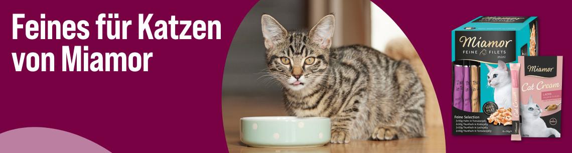 Entdecke jetzt Miamor Katzenfutter Aktionsbanner für Miamor Katzenfutter. Mittig sitzt eine getigerte Katze vor einem Napf; rechts sind Miamor-Produkte wie „Feine Filets“ und „Cat Cream“ abgebildet; links steht der Text „Feines für Katzen von Miamor“ auf farbigem Hintergrund.