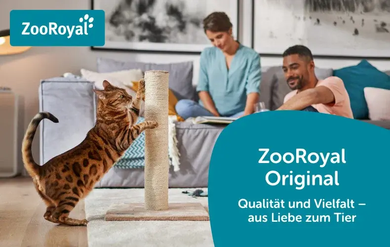 ZooRoyal Original Wohnzimmer‑Szene mit spielender Katze Katze kratzt an einem Kratzstamm im Wohnzimmer, während zwei Personen im Hintergrund sitzen.