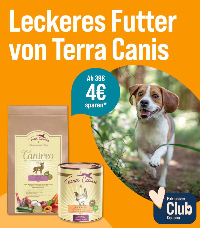 Spare 4 € ab 39 € auf Terra Canis Aktionsbanner für Terra Canis Hundefutter. Rechts läuft ein Hund im Wald auf die Kamera zu. 4 € Rabatt ab 39 € für ZooRoyal Club Mitglieder.