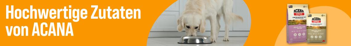 Entdecke Hundefutter von ACANA Werbebanner für ACANA Hundenahrung mit dem Schriftzug „Hochwertige Zutaten von ACANA“. Abgebildet sind zwei Trockenfutterprodukte der ACANA Singles-Serie in den Sorten „Grass-Fed Lamb Recipe“ und „Free-Run Duck Recipe“. Mittig frisst ein heller Hund aus einem Futternapf in einer Küche.