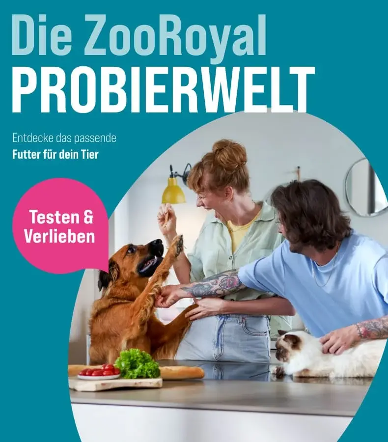 ZooRoyal Probierwelt Banner mit Hund und Katze in der Küche Hund steht mit erhobenen Pfoten am Küchentresen, während zwei Personen daneben mit einem Hund und einer Katze interagieren.