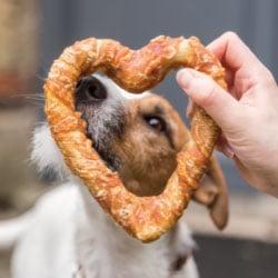 Trixie Hundesnacks Hund schnuppert durch ein herzförmiges Gebäck, das ihm hingehalten wird.