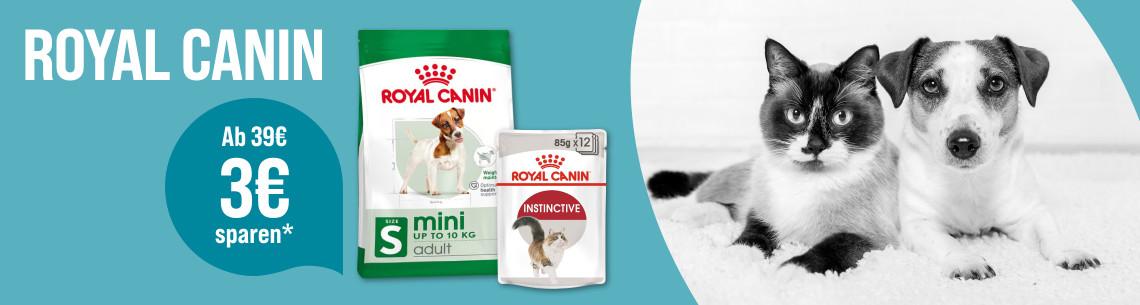 Spare 3 € ab 39 € auf Royal Canin Aktionsbanner für Royal Canin Tierfutter. Rechts liegen eine Katze und ein Hund, die in die Kamera schauen.