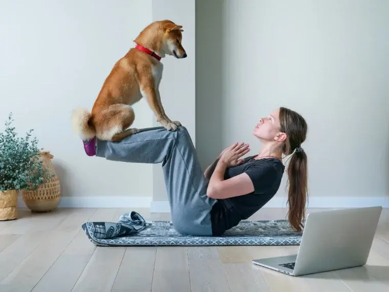 Yoga mit Hund Hund hockt auf den Beinen einer Person, die am Boden Yoga macht.