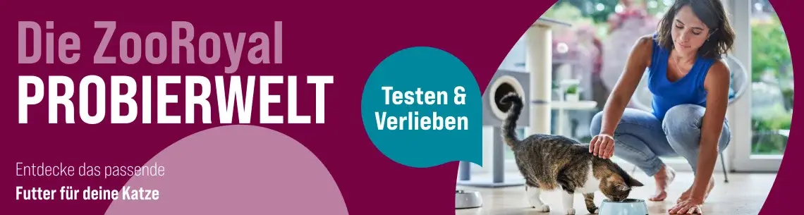 ZooRoyal Probierwelt Banner mit Katze im Wohnzimmer Katze frisst aus einem Napf neben einer Person im Wohnzimmer.