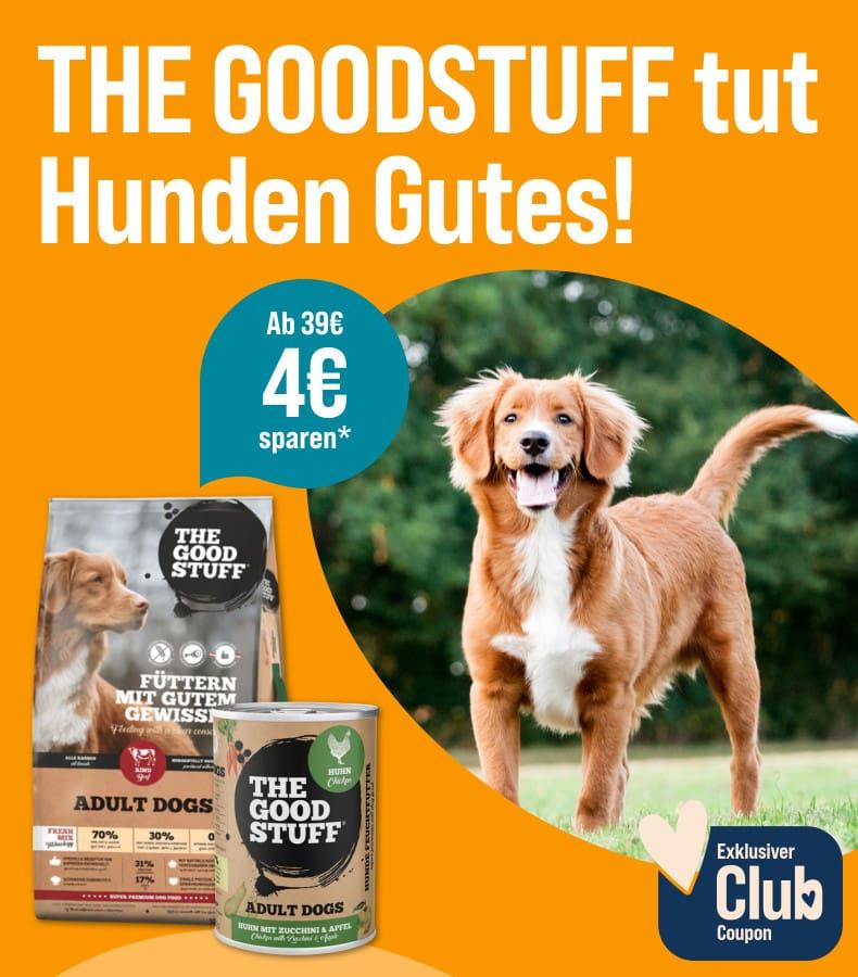 Spare 4 € ab 39 € auf The Goodstuff Aktionsbanner für The Goodstuff Hundefutter und einem stehenden Hund auf einer Wiese. 4 € Rabatt ab 39 € für ZooRoyal Club Mitglieder.