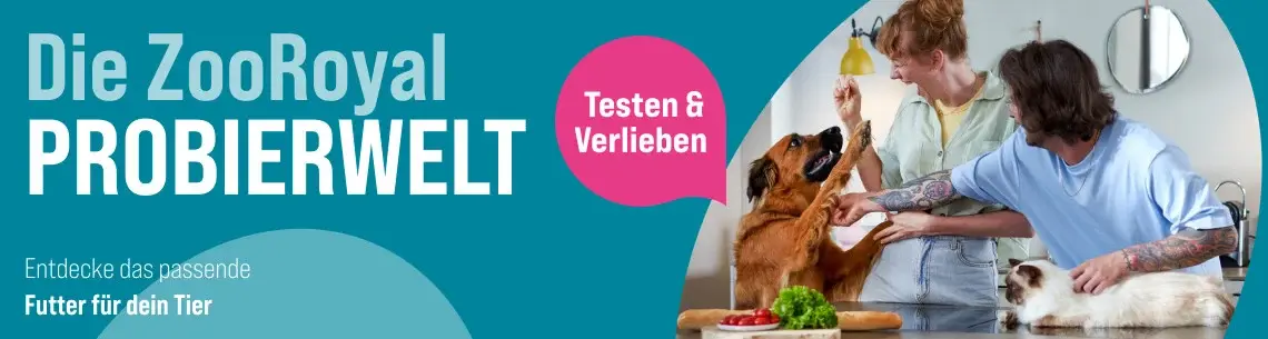 ZooRoyal Probierwelt Banner mit Hund und Katze in der Küche Hund steht mit erhobenen Pfoten am Küchentresen, während zwei Personen daneben mit einem Hund und einer Katze interagieren.