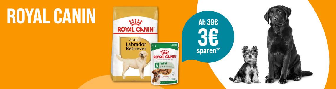 Spare 3 € ab 39 € auf Royal Canin Aktionsbanner für Royal Canin Hundefutter. Mittig ein Beutel Royal Canin Adult Labrador Retriever und eine Dose Royal Canin Mini Adult auf orangefarbenem Hintergrund; rechts zwei Hunde und ein blauer Hinweis „Ab 39 € 3 € sparen*“. Hinweis: 3 € Rabatt ab 39 € Einkaufswert auf Royal Canin.*