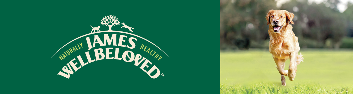 James Wellbeloved Topbanner Golden Retriever läuft über eine Wiese neben dem James‑Wellbeloved‑Logo.