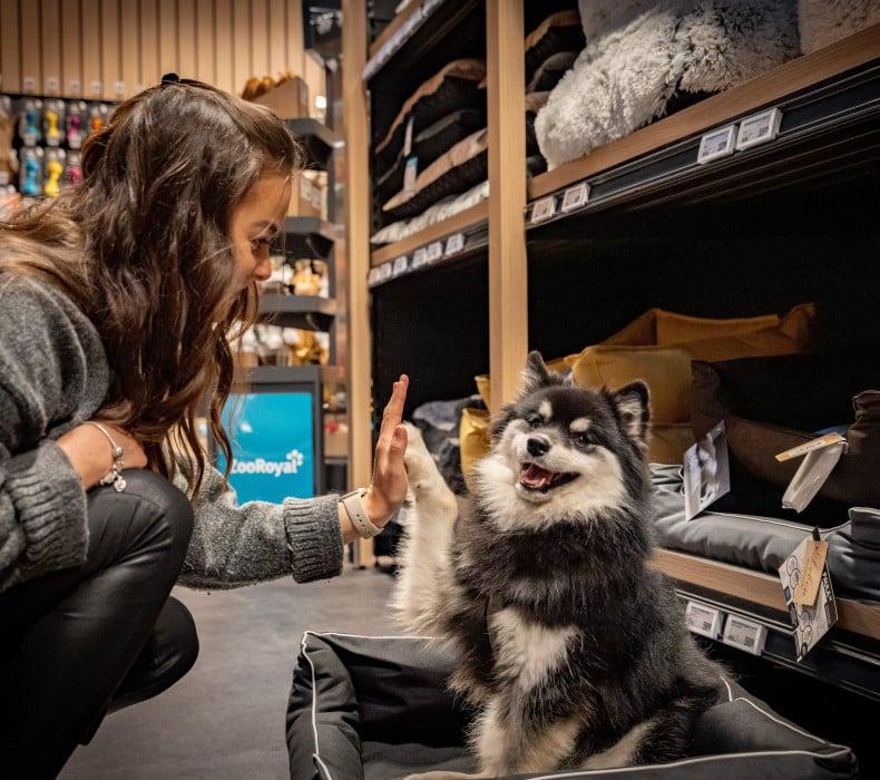 Hundeschlafplätze Frau gibt einem Hund im Markt ein High‑Five.