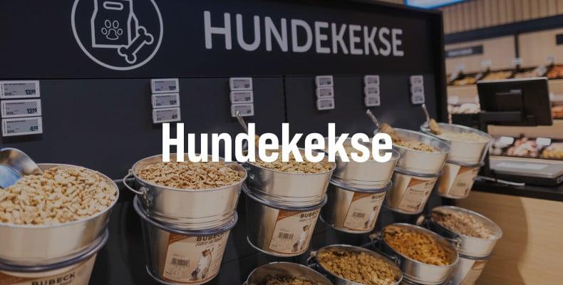 Auswahl an Hundekeksen egal mit verschiedenen Hundekeksen in offenen Behältern.