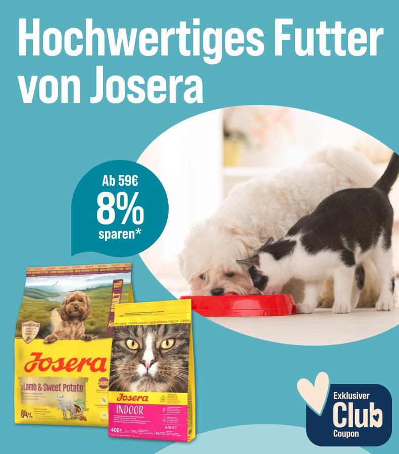Spare 8 % ab 59 € auf Josera Tierfutter Aktionsbanner für Josera Tierfutter. Mittig stehen zwei Verpackungen für Hunde- und Katzenfutter; links der Schriftzug „Hochwertiges Futter von Josera“ auf türkisfarbenem Hintergrund; rechts fressen zwei Haustiere aus einem roten Napf; Hinweis: „Ab 59 € 8 % sparen*“ sowie „Exklusiver Club Coupon“.