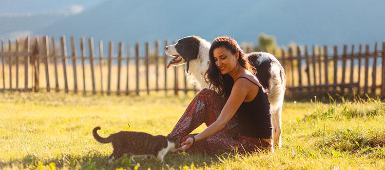 Tiergesundheit im Sommer Ein großer Hund steht im Garten neben einer im Gras sitzenden Person und einer Katze.