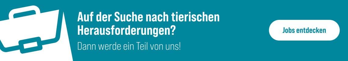 Jobs im Fachmarkt Werbebanner mit Koffer‑Icon und Text, der zur Jobsuche bei ZooRoyal einlädt.