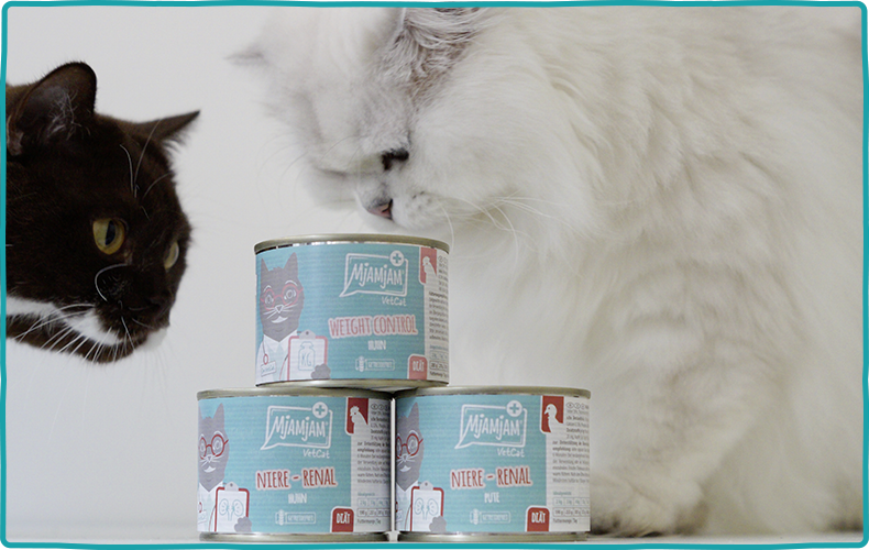 MjAMjAM VetCat Weiße Langhaarkatze schnuppert an drei aufgestapelten Dosen MjAMjAM VetCat Katzenfutter.