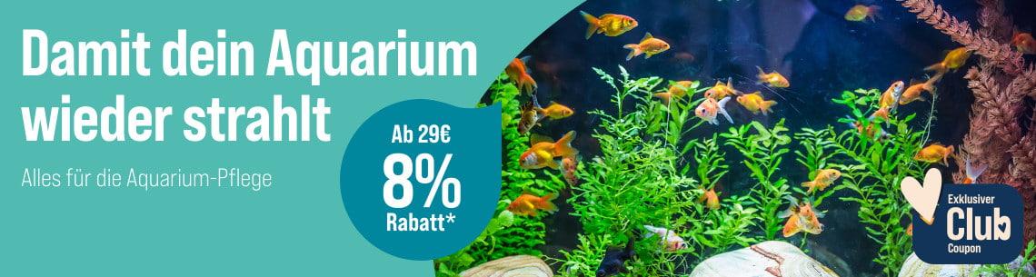 Spare 8 % ab 29 € auf Aquarium-Pflege Aktionsbanner Aquarium-Pflege mit Fischen im Aquarium