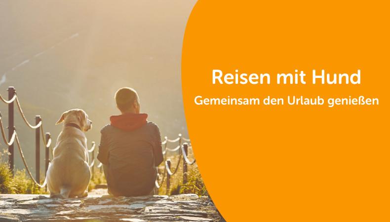 Mensch und Hund auf Bergweg im Sonnenlicht Hund und eine Person sitzen auf einem Bergweg und blicken ins Tal.