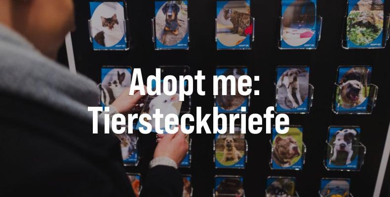 Adoptionsübersicht mit Tiersteckbriefen Hinweistafel mit Tierprofilen zur Adoption.