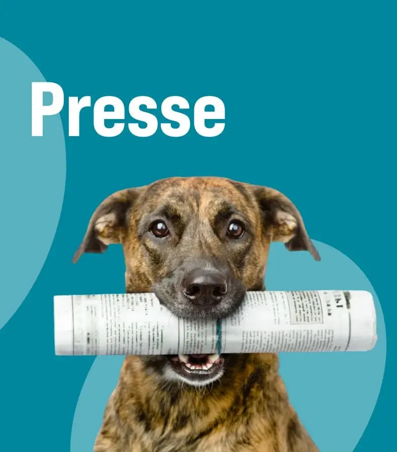 Presse Banner in petrol mit Hundemotiv zur Presse‑ und Unternehmensinformation