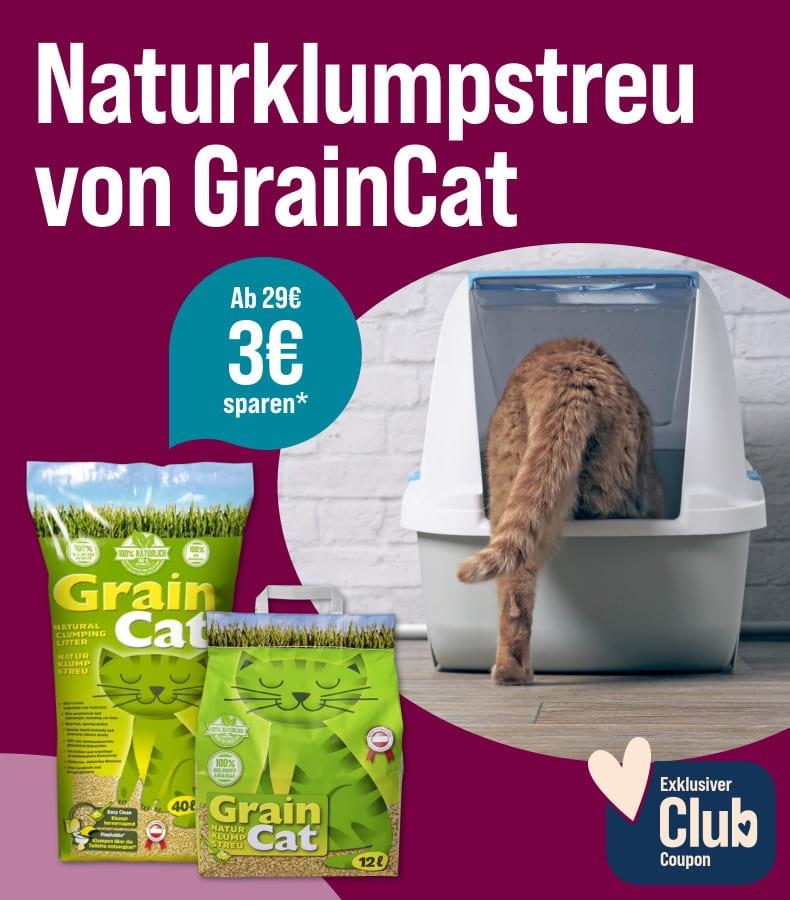 Spare 3€ ab 29€ auf Naturklumpstreu von GrainCat Aktionsbanner für Katzenstreu von GrainCat. Katze steigt in eine Katzentoilette, daneben Verpackungen von Naturklumpstreu.
