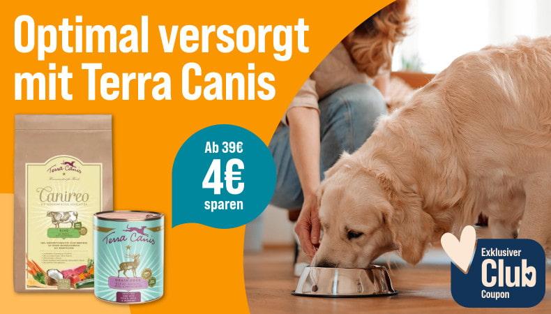 Spare 4€ ab 39€ auf Terra Canis Hundefutter Aktionsbanner für Hundefutter von Terra Canis. Hund frisst aus einem Napf, daneben Verpackungen von Trocken- und Nassfutter