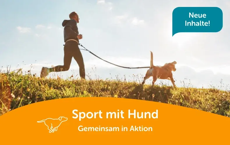 Sport mit Hund Eine Person joggt gemeinsam mit Hund über eine Wiese; Banner zum Thema Sport mit Hund.