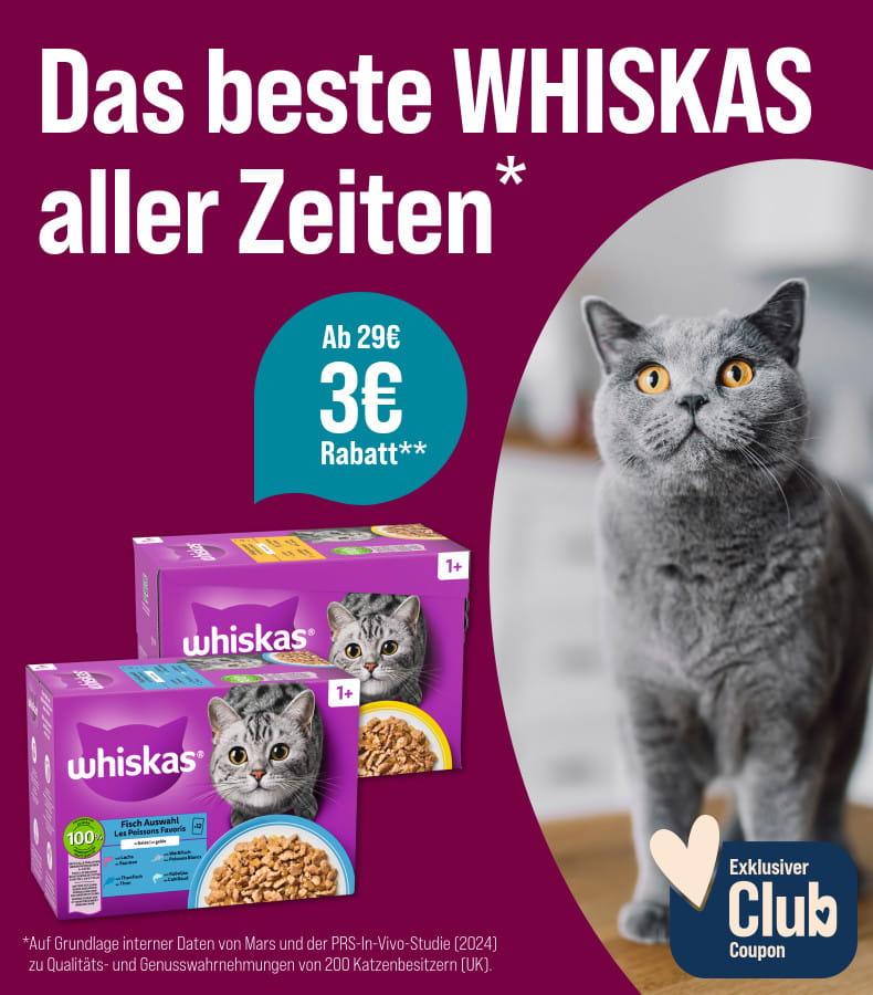 Spare 3 € ab 29 € auf Whiskas Katzenfutter Aktionsbanner mit Whiskas Katzenfutter und einer grauen Katze mit großen Augen.