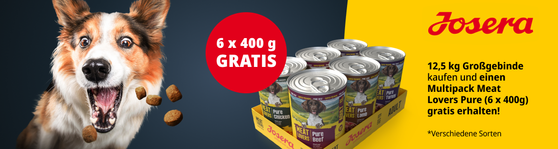Meat Lovers Pure Multipack gratis Aktionsbanner für Josera Hundenahrung. Links ein Hund mit Futterstückchen vor dunklem Hintergrund. Mittig ein Meat Lovers Pure Multipack von Josera sowie der Hinweis „GRATIS“. Rechts die Aktionsbeschreibung zum Gratisprodukt beim Kauf eines 12,5-kg-Großgebindes. Hinweis: Gelb-blaues Bannerdesign im Josera Markenlook.