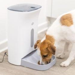 Trixie Futterautomaten Hund frisst aus einem automatischen Futterspender.