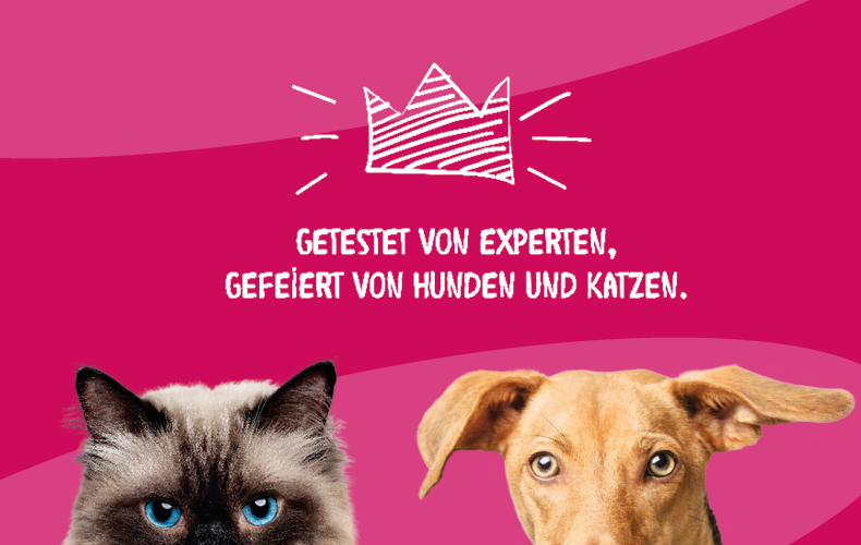 Dokas Slogan Banner mit Katze und Hund sowie dem Text „Getestet von Experten, gefeiert von Hunden und Katzen“.