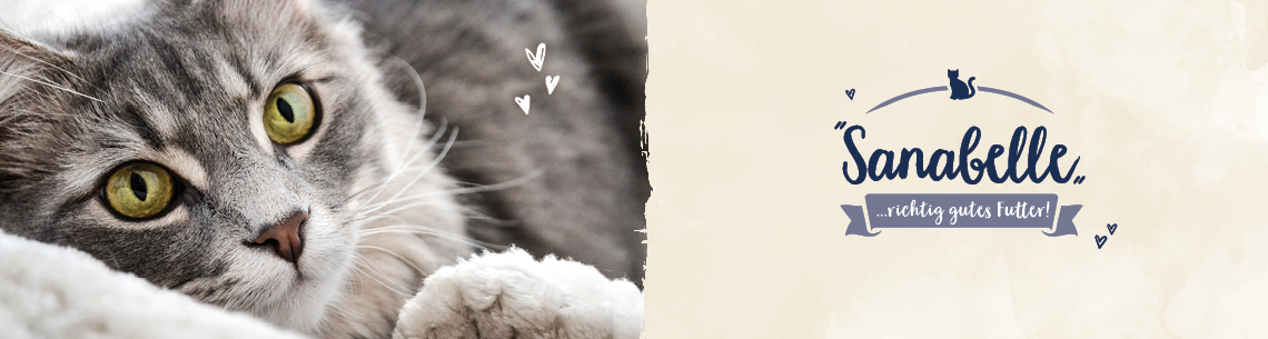 Sanabelle Topbanner Banner mit Katze und dem Sanabelle‑Logo.