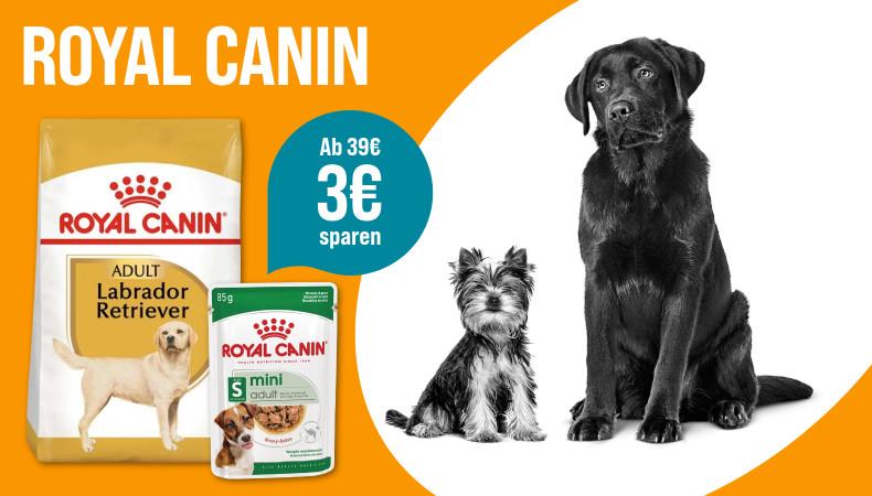 Spare 3 € ab 39 € auf Royal Canin Aktionsbanner für Royal Canin Hundefutter. Mittig ein Beutel Royal Canin Adult Labrador Retriever und eine Dose Royal Canin Mini Adult auf orangefarbenem Hintergrund; rechts zwei Hunde und ein blauer Hinweis „Ab 39 € 3 € sparen*“. Hinweis: 3 € Rabatt ab 39 € Einkaufswert auf Royal Canin.*
