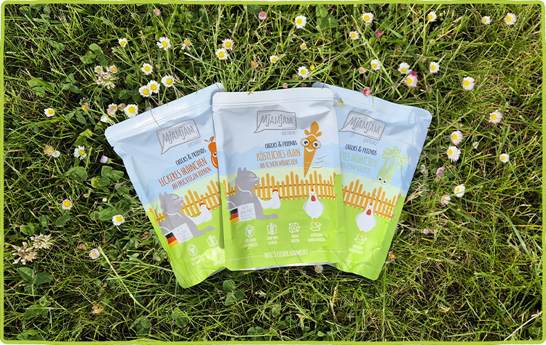 MjAMjAM Chicks and Friends Drei Pouches MjAMjAM Chicks and Friends liegen auf einer Wiese.