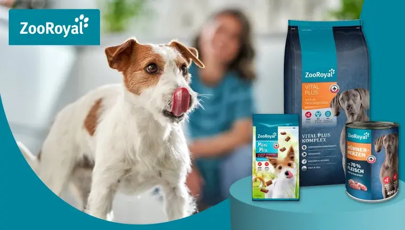 ZooRoyal Eigenmarken Hund Hund leckt sich das Maul neben ZooRoyal Vital Plus Hundefutterprodukten.