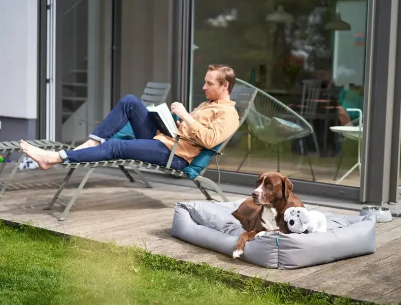 Hund entspannt im Outdoor‑Hundebett Hund liegt auf einem Hundebett auf der Terrasse neben einer lesenden Person.