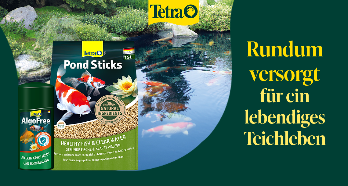 Banner für Tetra Teich Produkte Banner für Tetra mit der Bewerbung: Rundum versorgt für ein lebendiges Teichleben