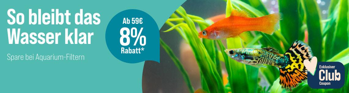 Spare 8 % ab 59 € auf Aquarium-Filter Aktionsbanner Aquarium-Filter mit Fischen im Aquarium