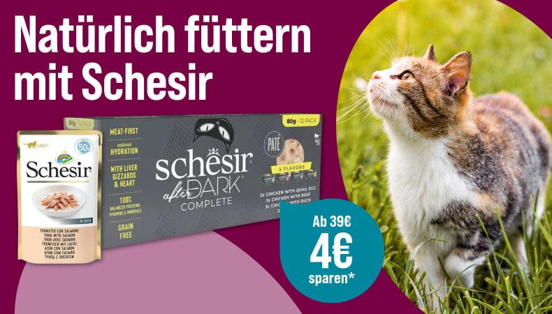 Spare 4 € ab 39 € auf Schesir Katzenfutter Aktionsbanner für Katzenfutter von Schesir. Katze sitzt im Gras, daneben Verpackungen von Nassfutter