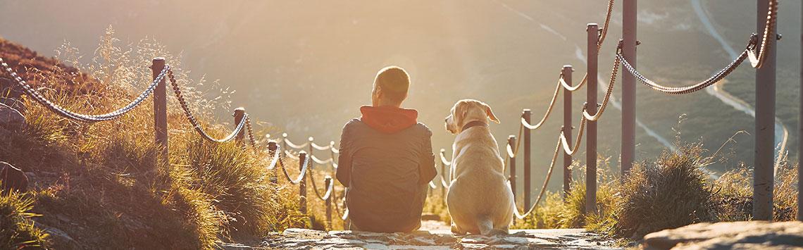 Reisen mit Hund Hund und eine Person sitzen gemeinsam auf einer Treppe in den bergen und schauen in den Sonnenuntergang.