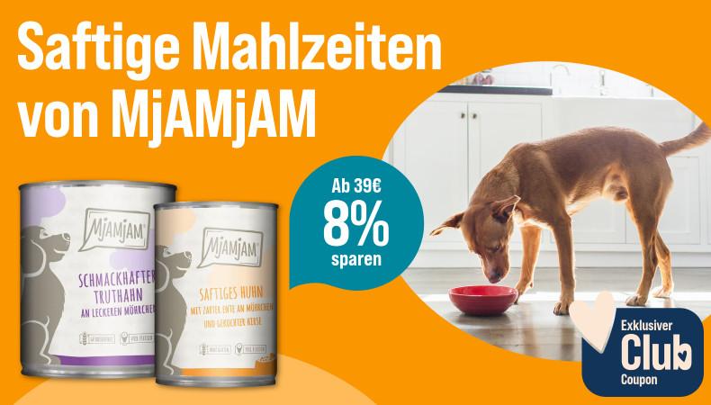 Spare 8% ab 39€ auf MjAMjAM Hundefutter Aktionsbanner für Hundefutter von MjAMjAM. Hund frisst aus einem roten Napf in einer Küche, daneben zwei Dosen Nassfutter