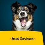 Josera Hunde Snacks Hunde Snack-Sortiment.