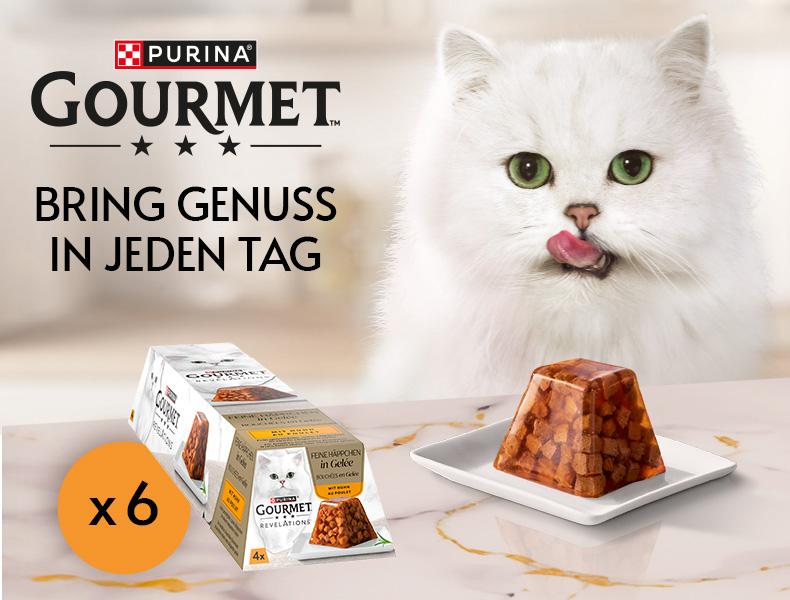 GOURMET Katzenfutter Aktionsbanner für Purina Gourmet Revelations Katzenfutter. Links oben Purina Gourmet Logo sowie der Schriftzug „BRING GENUSS IN JEDEN TAG“. Rechts eine weiße Langhaarkatze mit grünen Augen. Im unteren Bereich eine Verpackung Gourmet Revelations „Feine Häppchen in Gelée“ sowie eine servierte Portion Nassfutter auf einem weißen Teller. Links unten orangefarbener Kreis mit Hinweis „x 6“. Hinweis: Hochwertiges Werbemotiv in hellen Beige- und Cremetönen mit Fokus auf Premium-Katzennahrung.