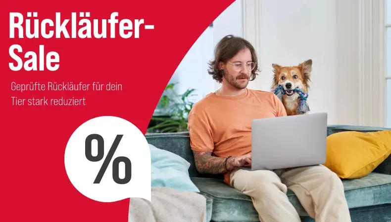 Rückläufer Zu den Rückläufern