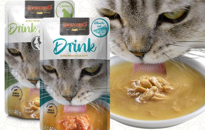 Leonardo Drinks Katze trinkt aus einem Teller mit flüssigem Katzenfutter.