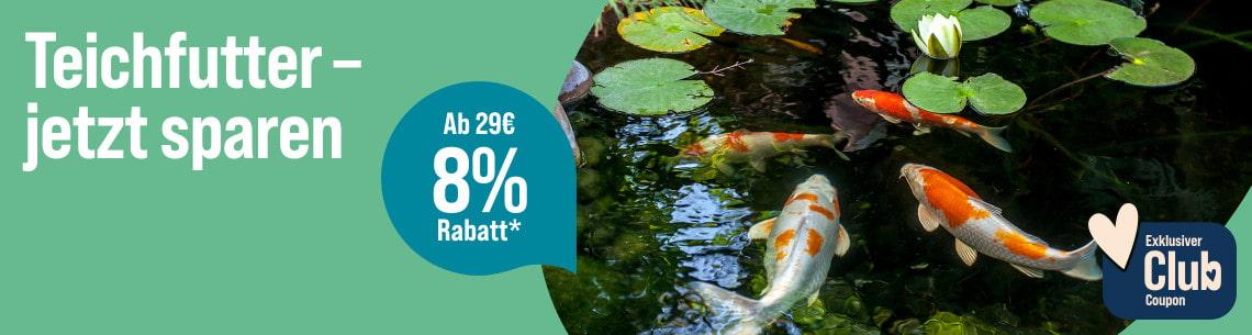 Spare 8 % ab 29 € auf Teichfutter Aktionsbanner für Teichfutter. Rechts schwimmen mehreren Koi-Fische in einem Teich mit Seerosen. 8 % € Rabatt ab 29 € für ZooRoyal Club Mitglieder.