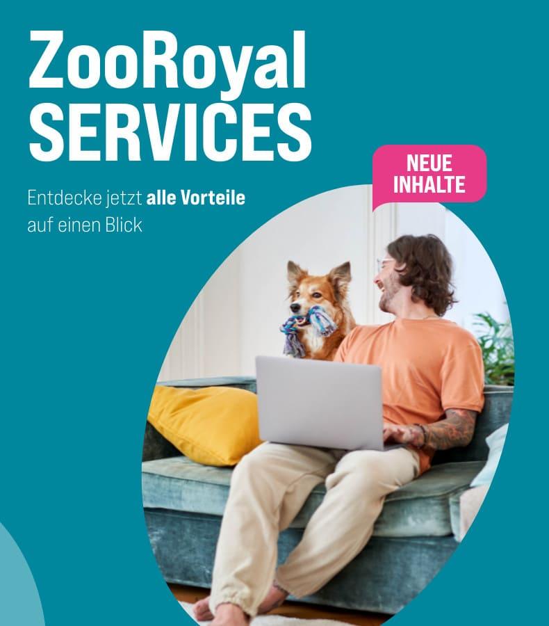 Unsere Services Person sitzt mit Hund auf dem Sofa und nutzt einen Laptop.